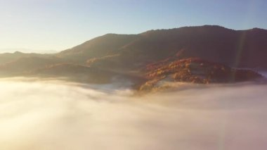 Yağmurdan sonra dağda hareket eden bir bulutun harika hissi. Güneş doğarken bulutların üstünde uçmak, bir drondan bulutların ve dağların en üst görüntüsü. Karpatlar, Synevyr geçidi, Ukrayna.