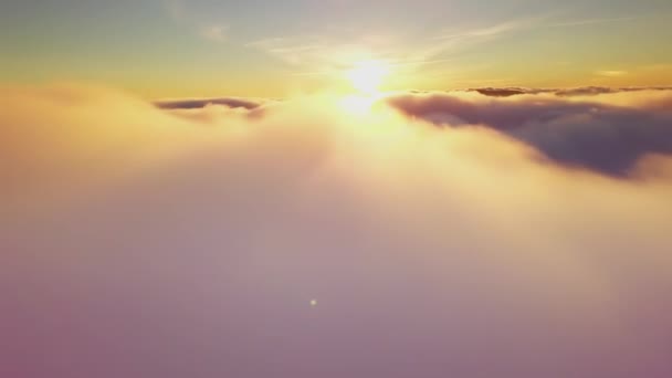 4K İHA bulutlarda uçuyor. Güneş doğarken bulutların arasından uçmak, İHA 'dan bulutların en üst görüntüsü. Ulusal Park Shipit Karpat. Karpatlar, Pylypets, Ukrayna. — Stok video