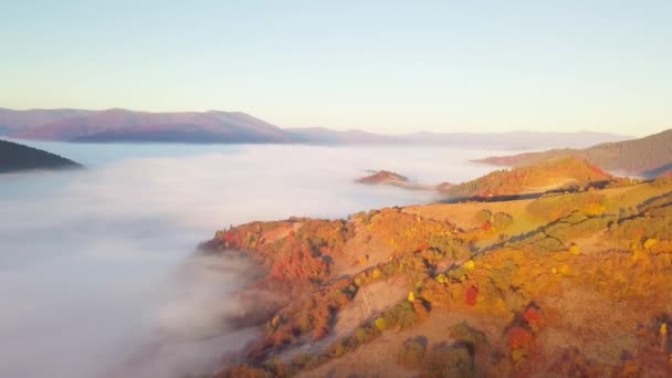 A wonderful feeling of a moving cloud on a mountain after rain. Flight above the clouds during sunrise, top view of the clouds and mountains from a drone. Carpathians, Synevyr pass, Ukraine. — Stock Video