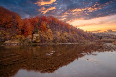 Sonbaharda şelalenin manzarası. Sonbahar renklerinde şelale. Sonbahar manzarasında dağ nehri. Ukrayna, Stryj Nehri.