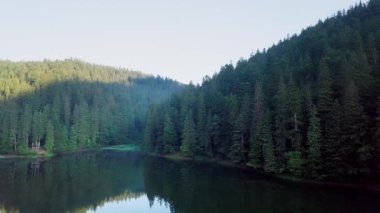 Yaz aylarında hava görünümünü Karpat takoz. Karpat doğa, göl montaj. Havadan görünümü Synevir Gölü, Ukrayna