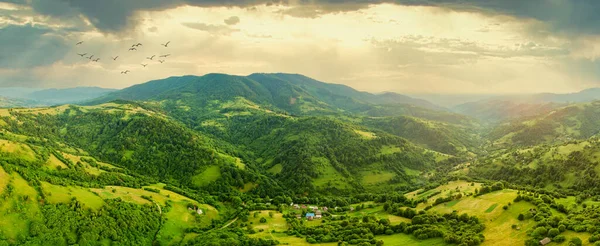 Karpatlar 'ın uçsuz bucaksız otlaklarının ve tarım arazilerinin havadan görünüşü. Tarım tarlası. Gün batımında kırsal dağ manzarası. Ukrayna.