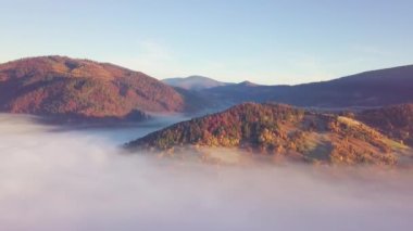 Yağmurdan sonra dağda hareket eden bir bulutun harika hissi. Güneş doğarken bulutların üstünde uçmak, bir drondan bulutların ve dağların en üst görüntüsü. Karpatlar, Synevyr geçidi, Ukrayna.