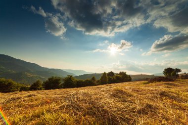 Yaza kadar harika panoramik manzaralı kır çiçekleri. Kamyanka Dağı 'nın yukarısındaki Carpathian Dağları, Synevir geçidi. Ukrayna. 