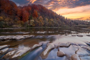 Sonbaharda şelalenin manzarası. Sonbahar renklerinde şelale. Sonbahar manzarasında dağ nehri. Ukrayna, Stryj Nehri.