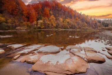 Sonbaharda şelalenin manzarası. Sonbahar renklerinde şelale. Sonbahar manzarasında dağ nehri. Ukrayna, Stryj Nehri.