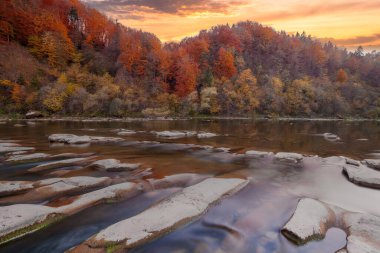 Sonbaharda şelalenin manzarası. Sonbahar renklerinde şelale. Sonbahar manzarasında dağ nehri. Ukrayna, Stryj Nehri.