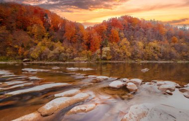 Sonbaharda şelalenin manzarası. Sonbahar renklerinde şelale. Sonbahar manzarasında dağ nehri. Ukrayna, Stryj Nehri.