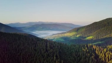 Dağ zirveleri ve sabah bulutları pürüzsüz hareket ediyor. Karpat Dağları 'nın çayırlarındaki yaz manzaralı vadi ağaçları. Ukrayna.
