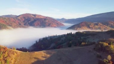 Yağmurdan sonra dağda hareket eden bir bulutun harika hissi. Güneş doğarken bulutların üstünde uçmak, bir drondan bulutların ve dağların en üst görüntüsü. Karpatlar, Synevyr geçidi, Ukrayna.