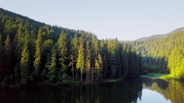 Aerial view Carpathian mountings in summer. Carpathian nature, mounting lake. Aerial view Synevir lake, Ukraine — Stock Video