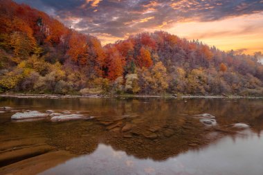 Sonbaharda şelalenin manzarası. Sonbahar renklerinde şelale. Sonbahar manzarasında dağ nehri. Ukrayna, Stryj Nehri.