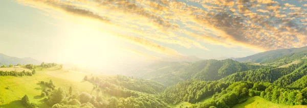 Luftaufnahme der endlosen saftigen Weiden der Karpaten und der landwirtschaftlichen Flächen. Kultiviertes landwirtschaftliches Feld. Ländliche Berglandschaft bei Sonnenuntergang. Ukraine. — Stockfoto