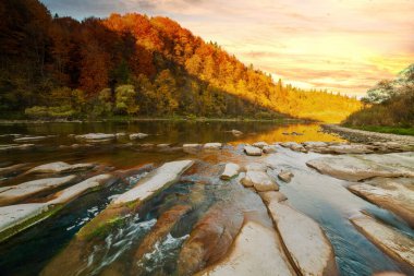 Sonbaharda şelalenin manzarası. Sonbahar renklerinde şelale. Sonbahar manzarasında dağ nehri. Ukrayna, Stryj Nehri.