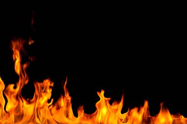 Köye yakın ağaçlık alanda çiçekler açıyor. Çiçeklere yakın çekim.