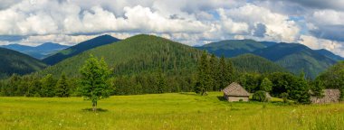 Güzel bir doğa ve ahşap bir barakanın etrafındaki harika bir manzara. Synevyr Gölü 'nün yukarısındaki Karpat Dağları' nın yamaçlarında yer alan bir açıklık. Ukrayna.