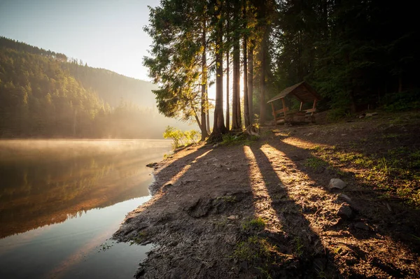 Güzel doğa ve bereketli yeşil ormanlar ve Karpatlar 'ın incisinin etrafındaki bitki örtüsüyle harika bir manzara - Synevyr Gölü. Ukrayna 'daki Karpatlar. Büyük köknar üzerinde mistik sis. 