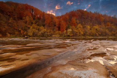 Sonbaharda şelalenin manzarası. Sonbahar renklerinde şelale. Sonbahar manzarasında dağ nehri. Ukrayna, Stryj Nehri.