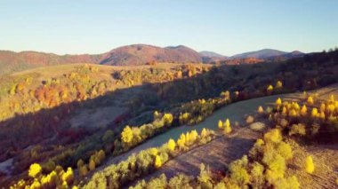 Günbatımının Arkasındaki Dağ Ormanı. Dramatik Günbatımı Gökyüzü. Zaman ayarlı. 4K.