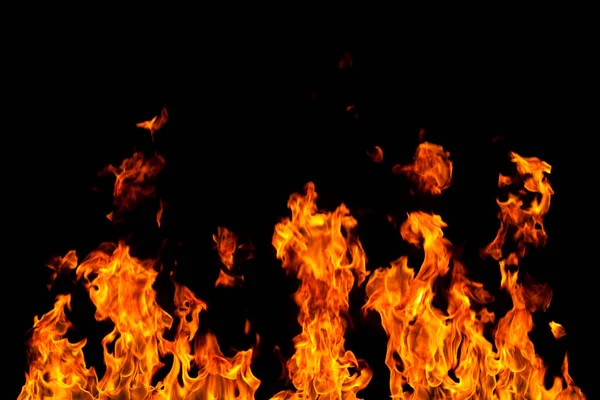 Köye yakın ağaçlık alanda çiçekler açıyor. Çiçeklere yakın çekim.