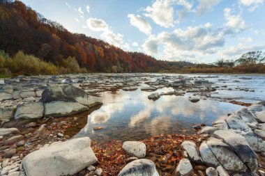 Sonbaharda şelalenin manzarası. Sonbahar renklerinde şelale. Sonbahar manzarasında dağ nehri. Ukrayna, Stryj Nehri.