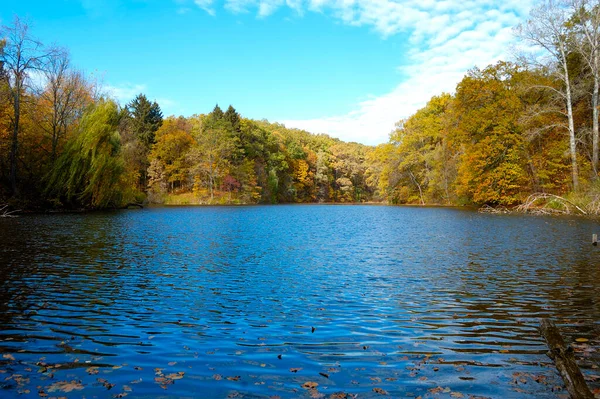 湖や木々と美しい秋の風景。湖での晴れた10月の日水の中で見事な鏡の反射。ウクライナのシャロフカ. — ストック写真