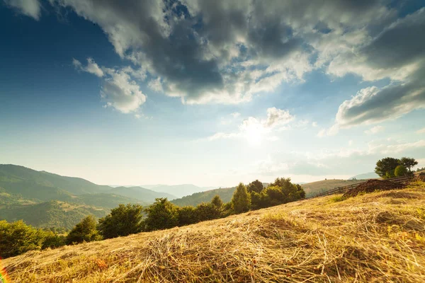 Yaza kadar harika panoramik manzaralı kır çiçekleri. Kamyanka Dağı 'nın yukarısındaki Carpathian Dağları, Synevir geçidi. Ukrayna. 