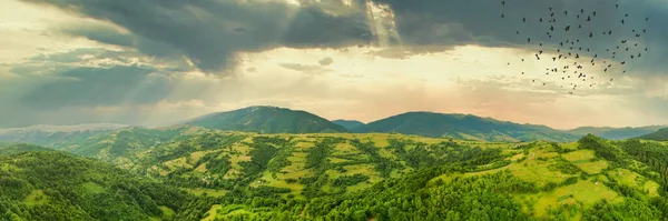 Vista aérea das pastagens exuberantes intermináveis das extensões dos Cárpatos e das terras agrícolas. Campo agrícola cultivado. Paisagem montanhosa rural ao pôr do sol. Ucrânia. — Fotografia de Stock