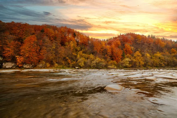 Sonbaharda şelalenin manzarası. Sonbahar renklerinde şelale. Sonbahar manzarasında dağ nehri. Ukrayna, Stryj Nehri.
