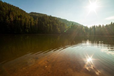 Güzel doğa ve bereketli yeşil ormanlar ve Karpatlar 'ın incisinin etrafındaki bitki örtüsüyle harika bir manzara - Synevyr Gölü. Ukrayna 'daki Karpatlar. Büyük köknar üzerinde mistik sis. 