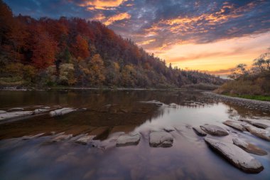 Sonbaharda şelalenin manzarası. Sonbahar renklerinde şelale. Sonbahar manzarasında dağ nehri. Ukrayna, Stryj Nehri.