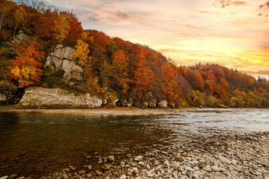 Sonbaharda şelalenin manzarası. Sonbahar renklerinde şelale. Sonbahar manzarasında dağ nehri. Ukrayna, Stryj Nehri.