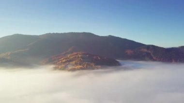 Yağmurdan sonra dağda hareket eden bir bulutun harika hissi. Güneş doğarken bulutların üstünde uçmak, bir drondan bulutların ve dağların en üst görüntüsü. Karpatlar, Synevyr geçidi, Ukrayna.