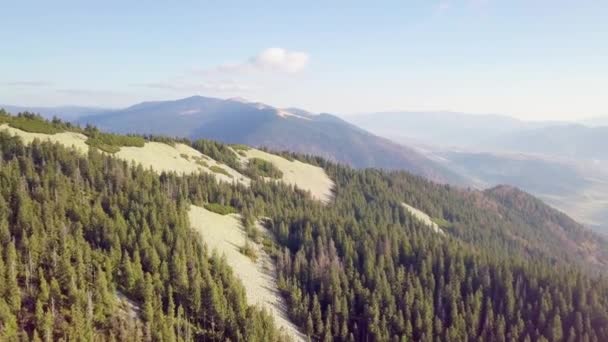 Magnifique paysage d'une vue d'oeil d'oiseaux. Vue panoramique à couper le souffle avec paysage de montagne panoramique chaîne de montagnes des Carpates, col de Synevyr, montagne de Kamenka, Ukraine. — Video