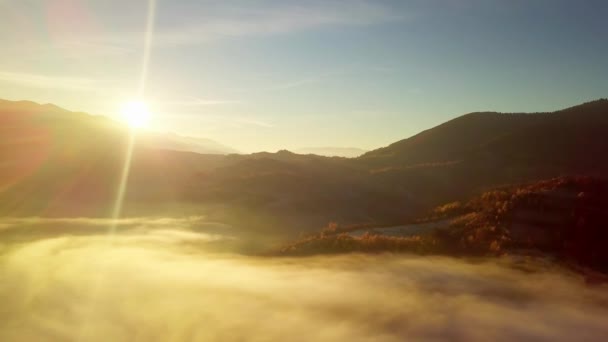 雨の後、山の上に移動雲の素晴らしい感じ。日の出の間の雲の上の飛行、無人機からの雲と山々の上の眺め。カルパティア人, Synevyr pass,ウクライナ. — ストック動画