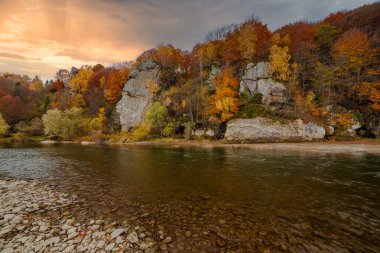 Sonbaharda şelalenin manzarası. Sonbahar renklerinde şelale. Sonbahar manzarasında dağ nehri. Ukrayna, Stryj Nehri.