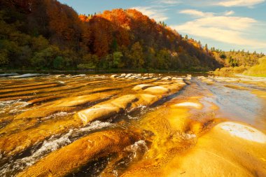 Sonbaharda şelalenin manzarası. Sonbahar renklerinde şelale. Sonbahar manzarasında dağ nehri. Ukrayna, Stryj Nehri.