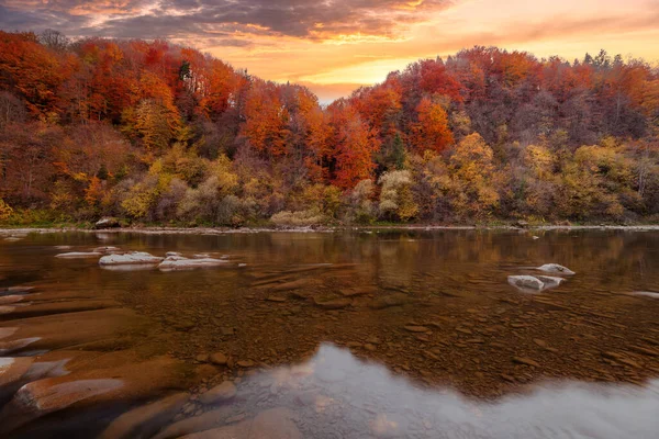Sonbaharda şelalenin manzarası. Sonbahar renklerinde şelale. Sonbahar manzarasında dağ nehri. Ukrayna, Stryj Nehri.