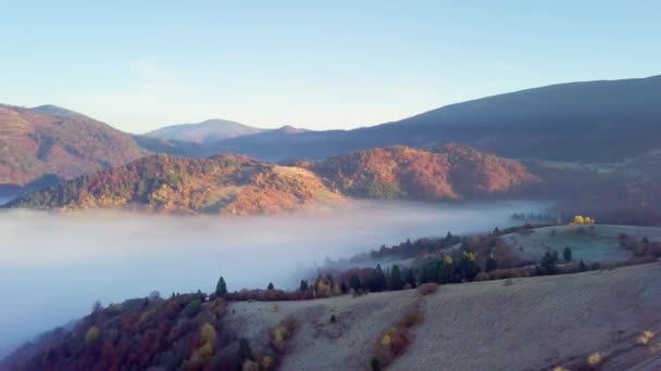 Een heerlijk gevoel van een bewegende wolk op een berg na regen. Vlucht boven de wolken tijdens zonsopgang, bovenaanzicht op de wolken en bergen vanaf een drone. Karpaten, Synevyr-pas, Oekraïne. — Stockvideo