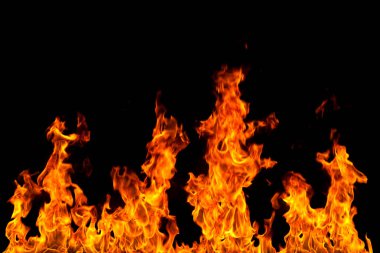 Köye yakın ağaçlık alanda çiçekler açıyor. Çiçeklere yakın çekim.