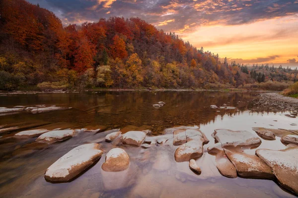 Sonbaharda şelalenin manzarası. Sonbahar renklerinde şelale. Sonbahar manzarasında dağ nehri. Ukrayna, Stryj Nehri.