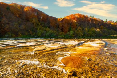 Sonbaharda şelalenin manzarası. Sonbahar renklerinde şelale. Sonbahar manzarasında dağ nehri. Ukrayna, Stryj Nehri.