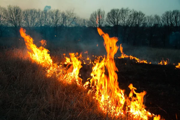 Ele arrasta à noite, emitindo muitos gases de efeito estufa para o ar, representando uma ameaça para o meio ambiente — Fotografia de Stock