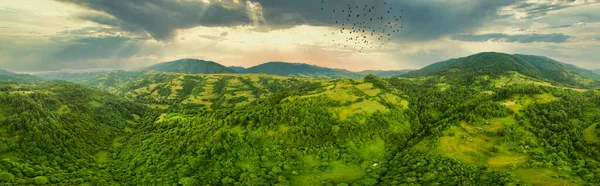 Вид с воздуха на бесконечные пышные пастбища Карпатских просторов и сельскохозяйственные угодья. Культивированное сельскохозяйственное поле. Сельский горный пейзаж на закате. Украина. — стоковое фото