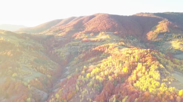 鳥の目のビューから素晴らしい風景。パノラマの山の風景と息をのむような景色-カルパチア山脈, Synevyr峠, Kamenka山,ウクライナ. — ストック動画