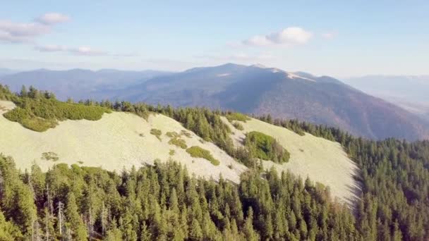 鳥の目のビューから素晴らしい風景。パノラマの山の風景と息をのむような景色-カルパチア山脈, Synevyr峠, Kamenka山,ウクライナ. — ストック動画