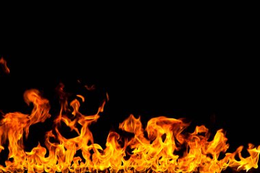 Köye yakın ağaçlık alanda çiçekler açıyor. Çiçeklere yakın çekim.