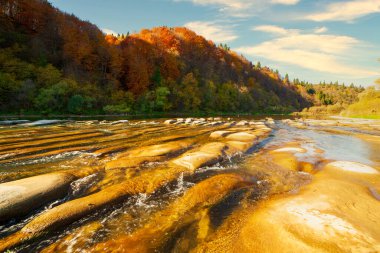 Sonbaharda şelalenin manzarası. Sonbahar renklerinde şelale. Sonbahar manzarasında dağ nehri. Ukrayna, Stryj Nehri.