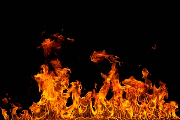 Köye yakın ağaçlık alanda çiçekler açıyor. Çiçeklere yakın çekim.