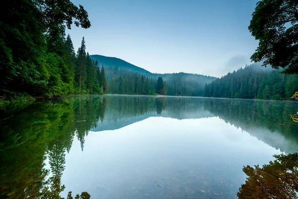 Güzel doğa ve bereketli yeşil ormanlar ve Karpatlar 'ın incisinin etrafındaki bitki örtüsüyle harika bir manzara - Synevyr Gölü. Ukrayna 'daki Karpatlar. Büyük köknar üzerinde mistik sis. 